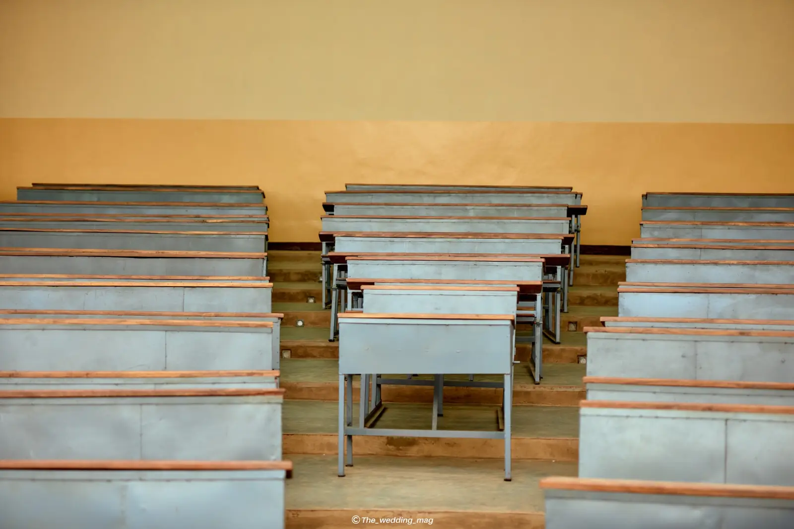 Université Pléiade des Tropiques — photo 6